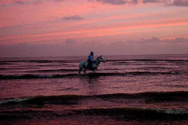 min 2007 11 25 camber plage 070
